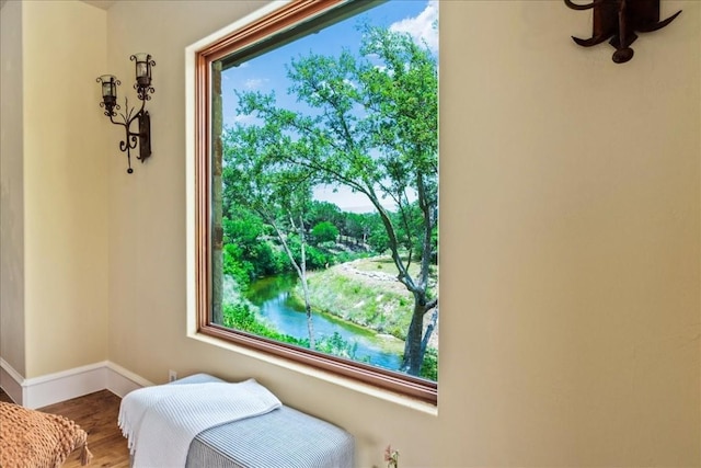 sitting room with hardwood / wood-style floors and a wealth of natural light