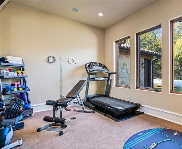 exercise area featuring carpet