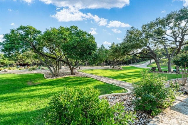 surrounding community featuring a yard