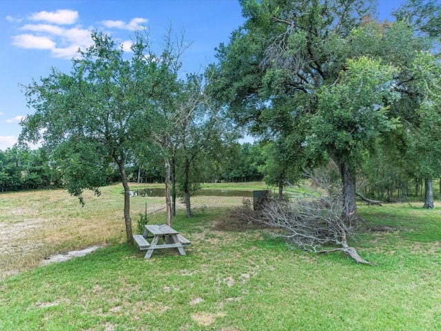 14325 Fm 619, Coupland, TX 78615 - photo 10