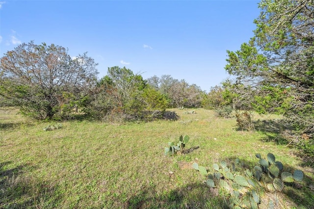 Listing photo 3 for LONGCASK W US Highway 290, Johnson City TX 78636