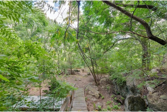 25633 Pedernales Point Dr, Spicewood, TX 78669 - view of undeveloped land