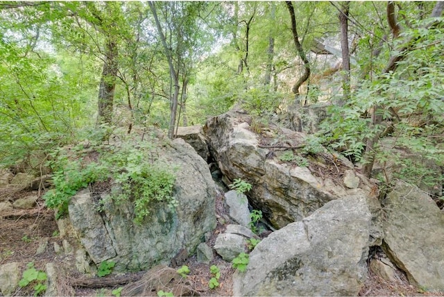 25633 Pedernales Point Dr, Spicewood, TX 78669 - view of wooded area