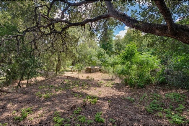 25633 Pedernales Point Dr, Spicewood, TX 78669 - view of tree filled area