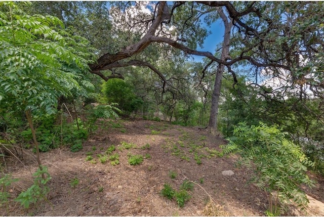 25633 Pedernales Point Dr, Spicewood, TX 78669 - view of undeveloped land