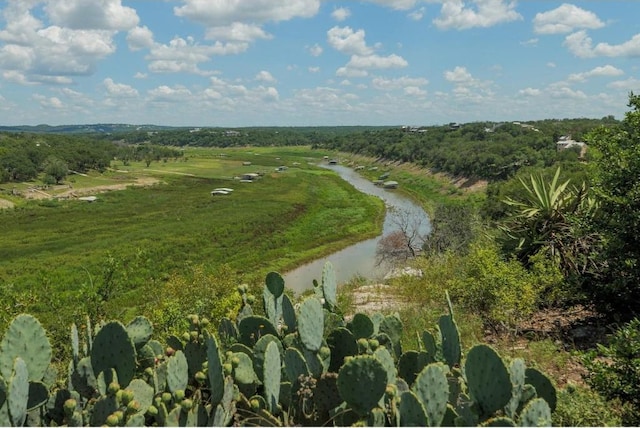 25633 Pedernales Point Dr, Spicewood, TX 78669 - aerial view of property and surrounding area