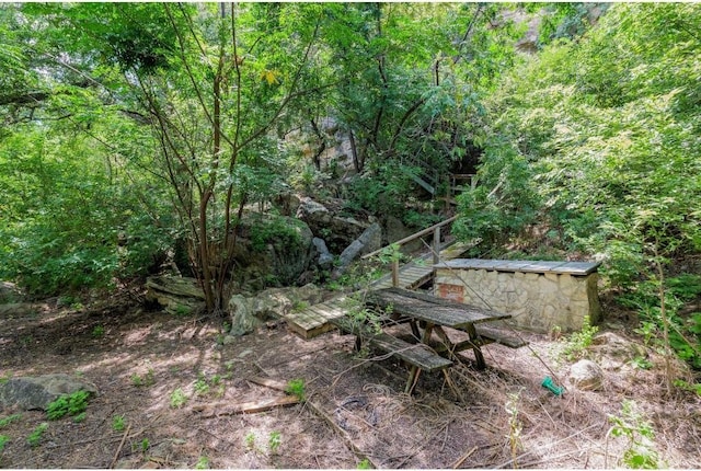 25633 Pedernales Point Dr, Spicewood, TX 78669 - view of yard