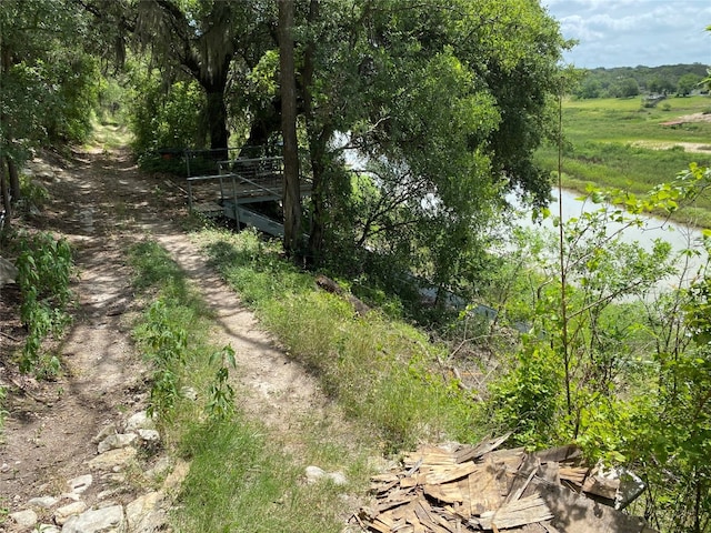 view of local wilderness featuring a water view