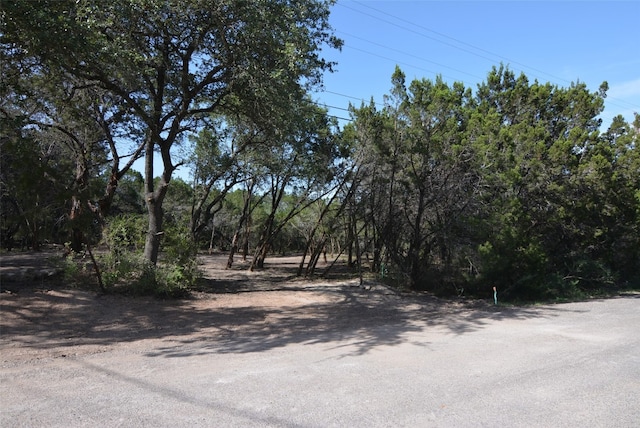 Listing photo 2 for 18204 Easy St, Jonestown TX 78645