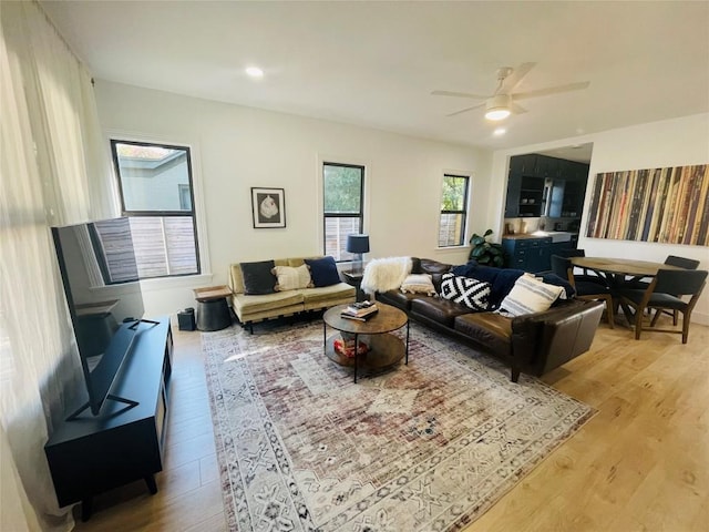 living room with ceiling fan and light hardwood / wood-style flooring