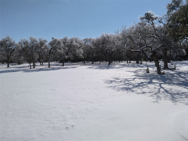 view of yard layered in snow