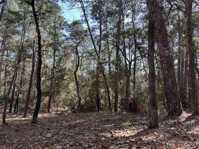 TBD Kamakoa Ln, Bastrop TX, 78602 land for sale