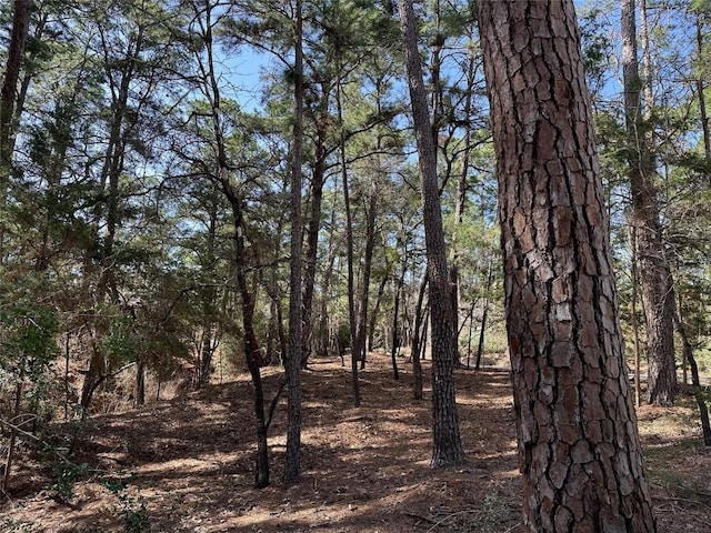 Listing photo 2 for TBD Kamakoa Ln, Bastrop TX 78602