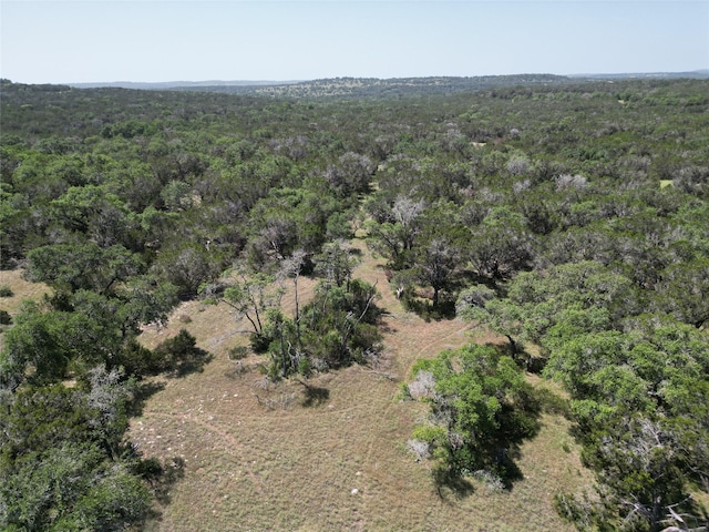 TRACT210ACRES Cambridge Rd, Wimberley TX, 78676 land for sale