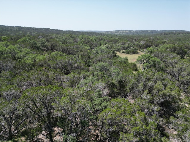 Listing photo 2 for TRACT210ACRES Cambridge Rd, Wimberley TX 78676