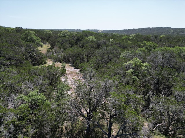 Listing photo 3 for TRACT210ACRES Cambridge Rd, Wimberley TX 78676