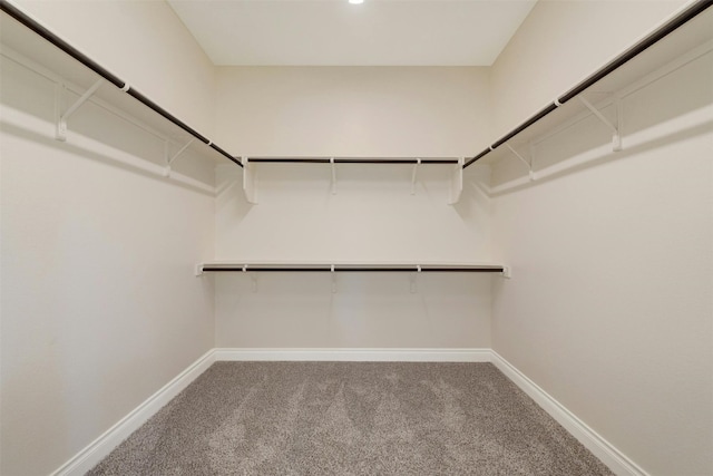 walk in closet with carpet