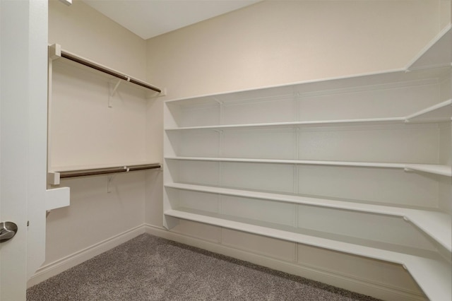 spacious closet with dark colored carpet