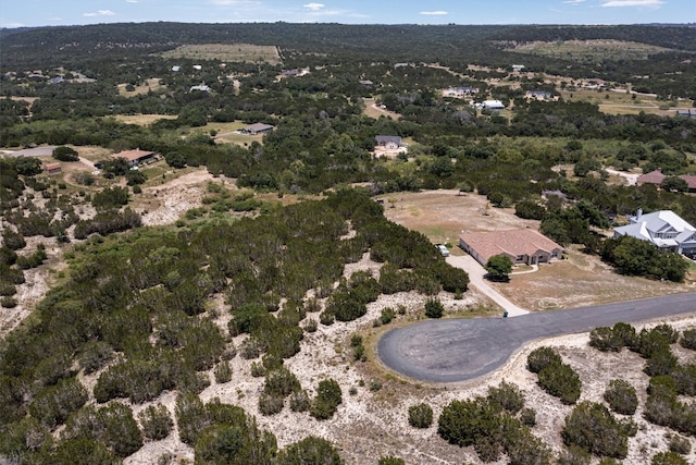 Listing photo 3 for LOT649 Wagon Wheel Trl, Bertram TX 78605