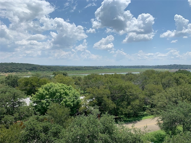 Listing photo 3 for 504 Lost Cove Dr, Spicewood TX 78669