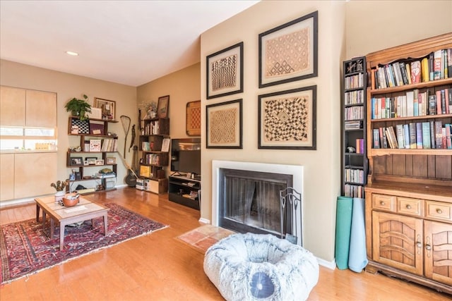 sitting room with light wood-type flooring