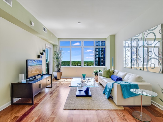 living room featuring wood-type flooring