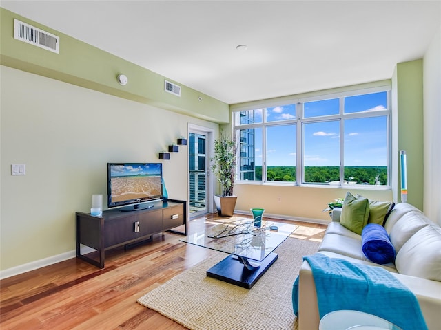 living room with hardwood / wood-style floors