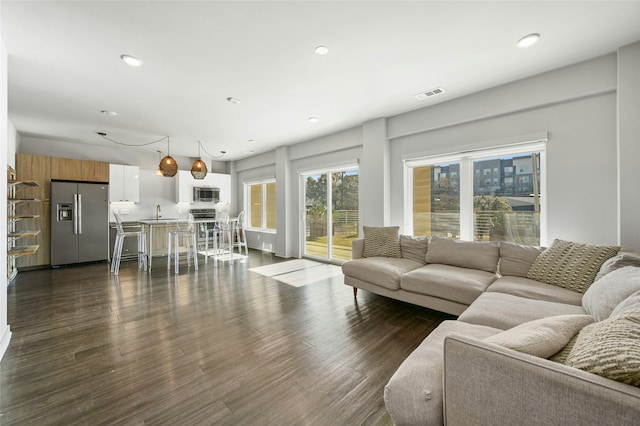 living room with dark wood-type flooring and sink