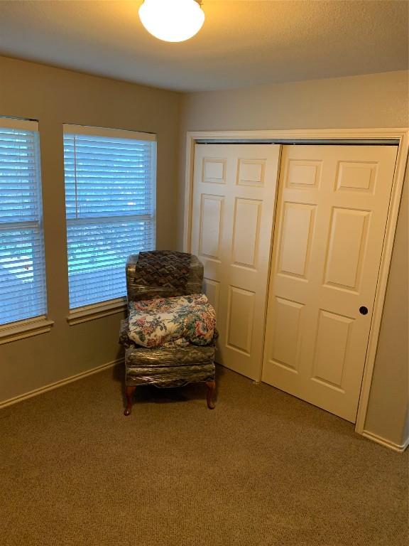 sitting room featuring carpet flooring