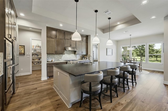 kitchen featuring pendant lighting, dark hardwood / wood-style flooring, a tray ceiling, and a kitchen island with sink