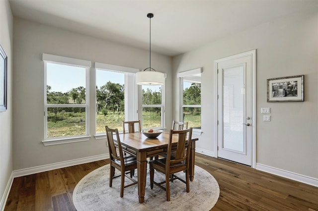 216 Lipizzan Ln, Driftwood, TX 78619 - photo 15
