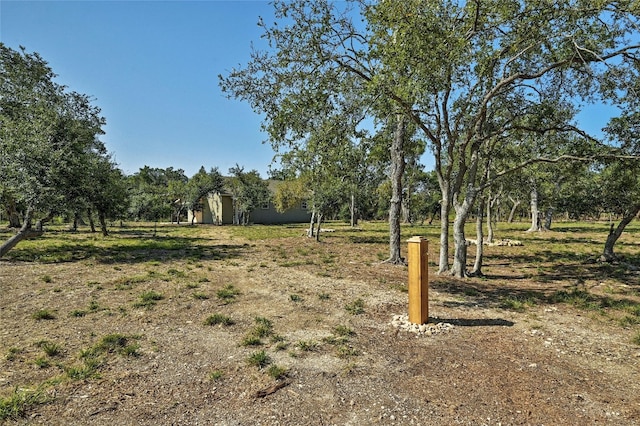 216 Lipizzan Ln, Driftwood, TX 78619 - photo 35