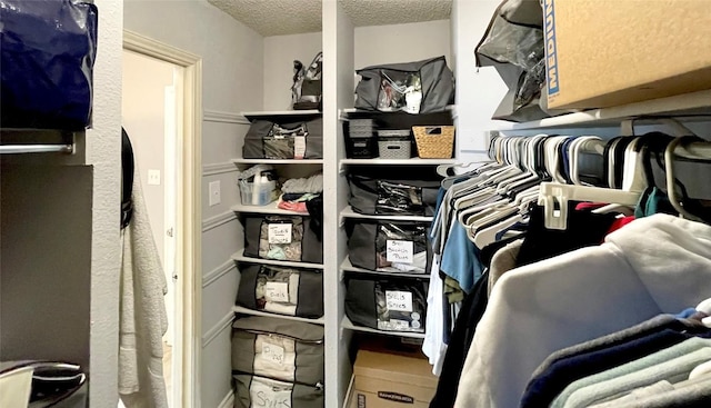 view of spacious closet