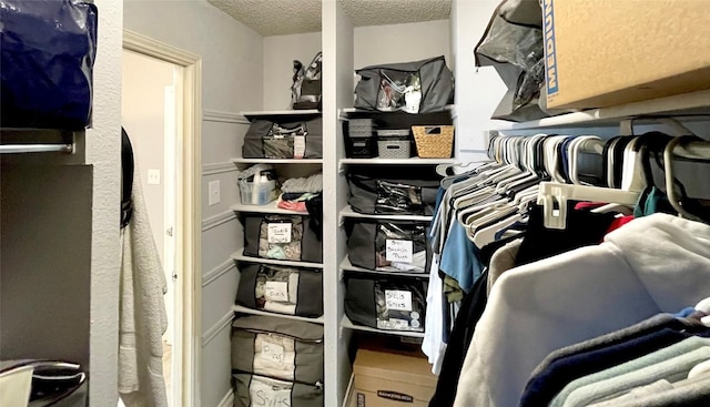 13242 Kerrville Folkway, Austin, TX 78729 - view of walk in closet