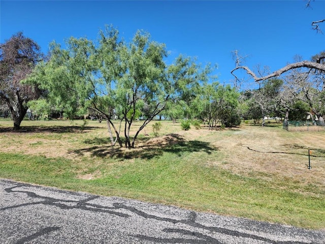 312 Coventry Dr, Spicewood, TX 78669 - photo 19