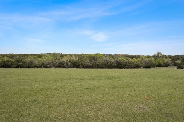 Listing photo 3 for TBD Mt Gainor Road, Dripping Springs TX 78620