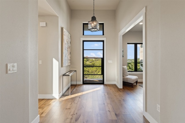 foyer featuring an inviting chandelier and wood-type flooring