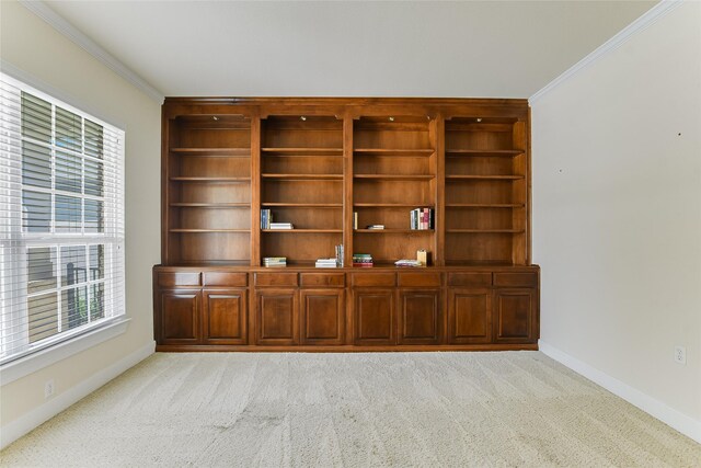 interior space featuring ornamental molding and light colored carpet