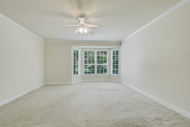 carpeted spare room with crown molding and ceiling fan