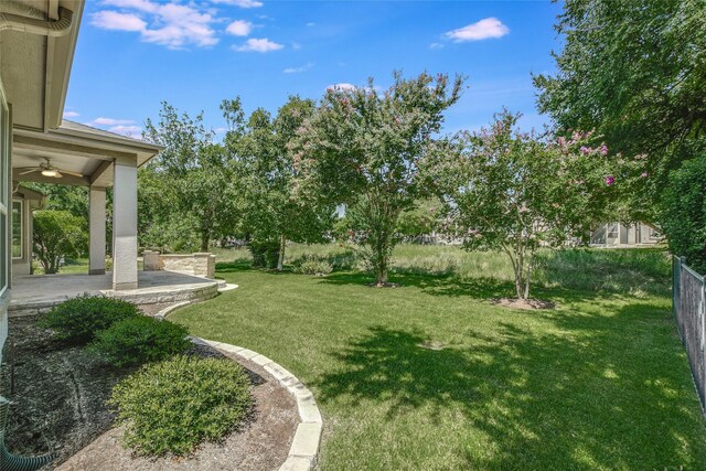 view of yard featuring a patio and ceiling fan