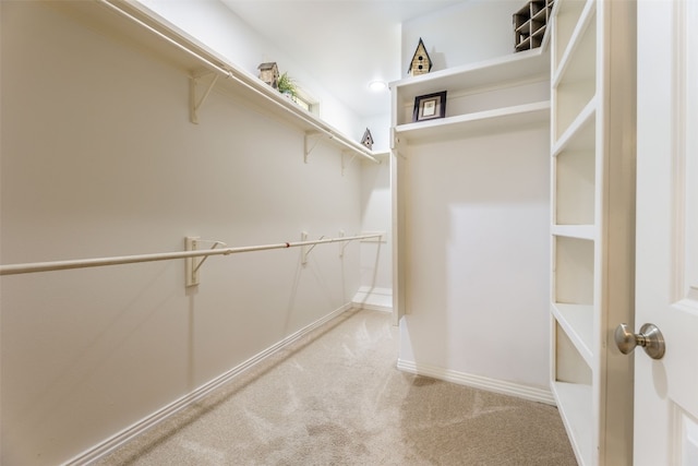 spacious closet with carpet floors