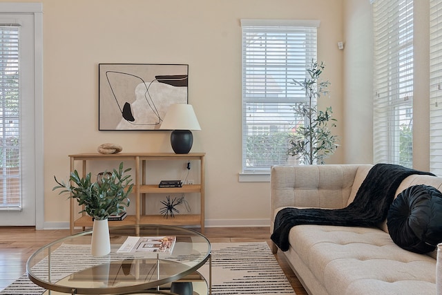 living area featuring wood-type flooring