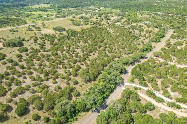 316 Ash Juniper Way, Bertram, TX 78605 - photo 16