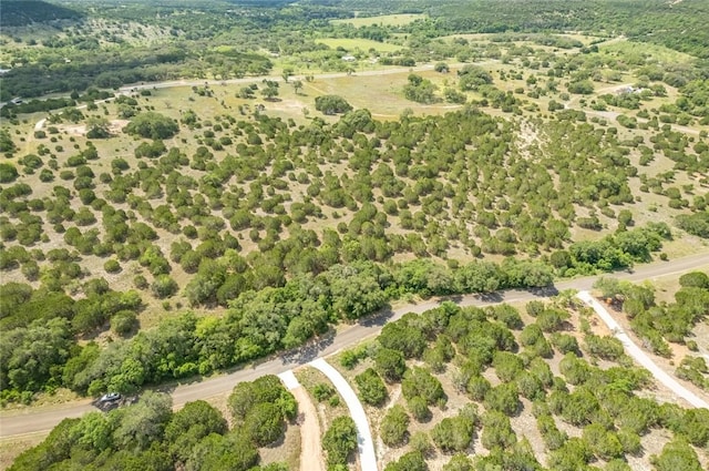 316 Ash Juniper Way, Bertram, TX 78605 - photo 17