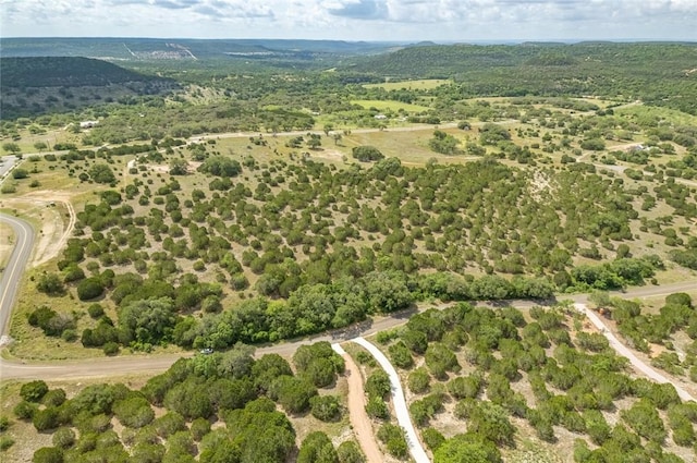 316 Ash Juniper Way, Bertram, TX 78605 - photo 18