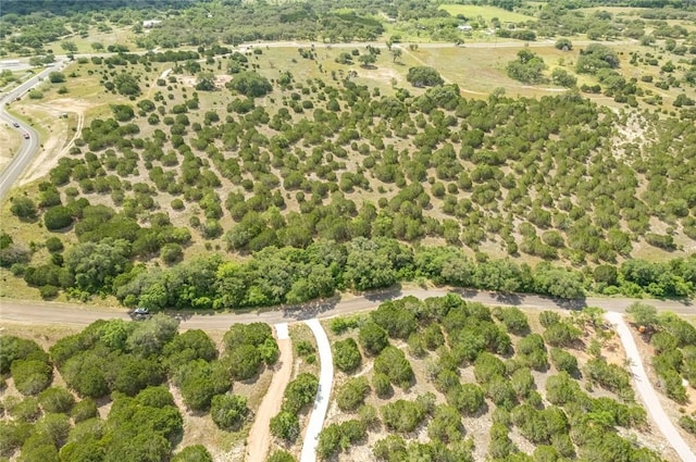 316 Ash Juniper Way, Bertram, TX 78605 - photo 19
