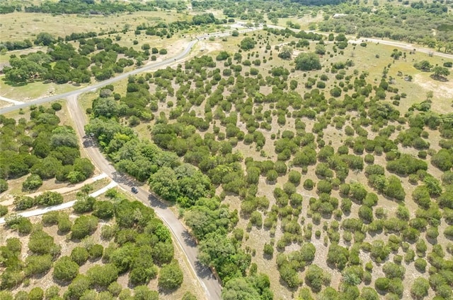 316 Ash Juniper Way, Bertram, TX 78605 - photo 20