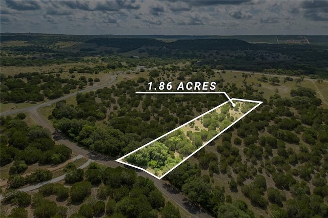 316 Ash Juniper Way, Bertram, TX 78605 - photo 1