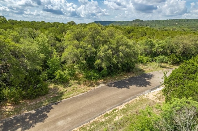 316 Ash Juniper Way, Bertram, TX 78605 - photo 3