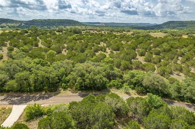 316 Ash Juniper Way, Bertram, TX 78605 - photo 4